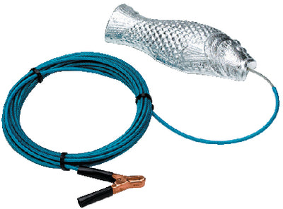 194-CMGROUPER.jpg