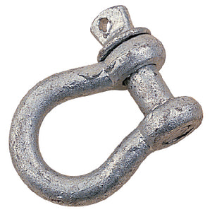 354-1478081.jpg