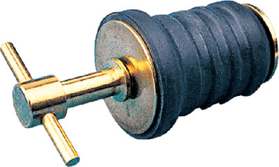 354-5200821.jpg