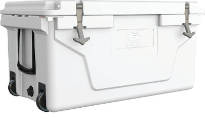 505-50007.jpg