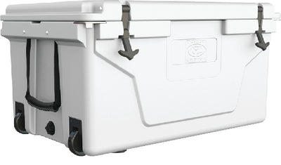 505-50008.jpg