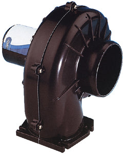 6-354000000.jpg