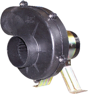 6-367400000.jpg
